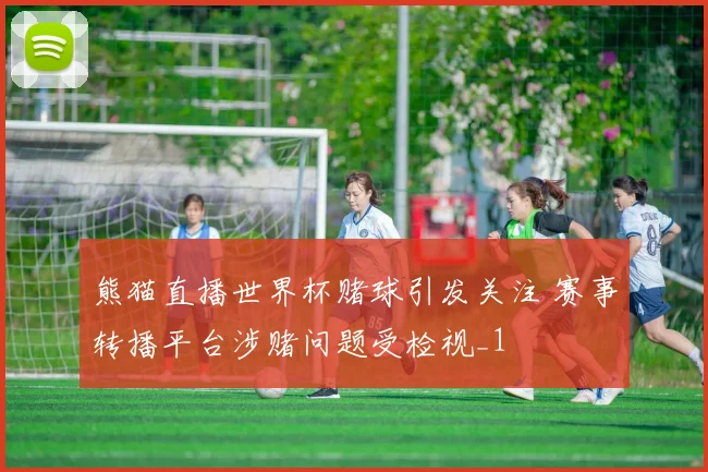 熊猫直播世界杯赌球引发关注 赛事转播平台涉赌问题受检视_1